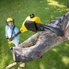 Best Aeration Services  in Ardmore, TN