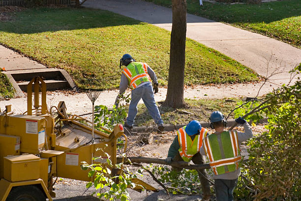 Best Lawn Watering Services  in Ardmore, TN